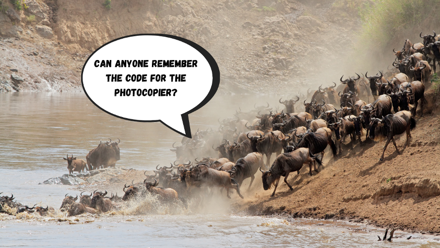 Be prepared for the great migration As the prospect of returning to the workplace, for at least part of the week, becomes an ever more realistic prospect, what do we have to fear?